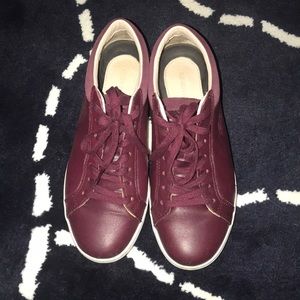 Lacoste burgundy sneakers